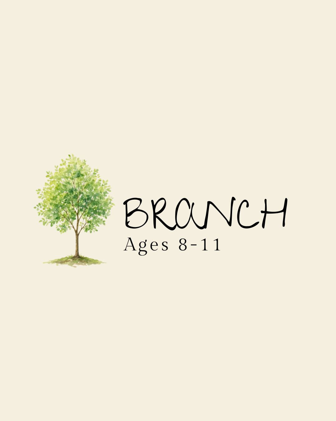 The Branch Box