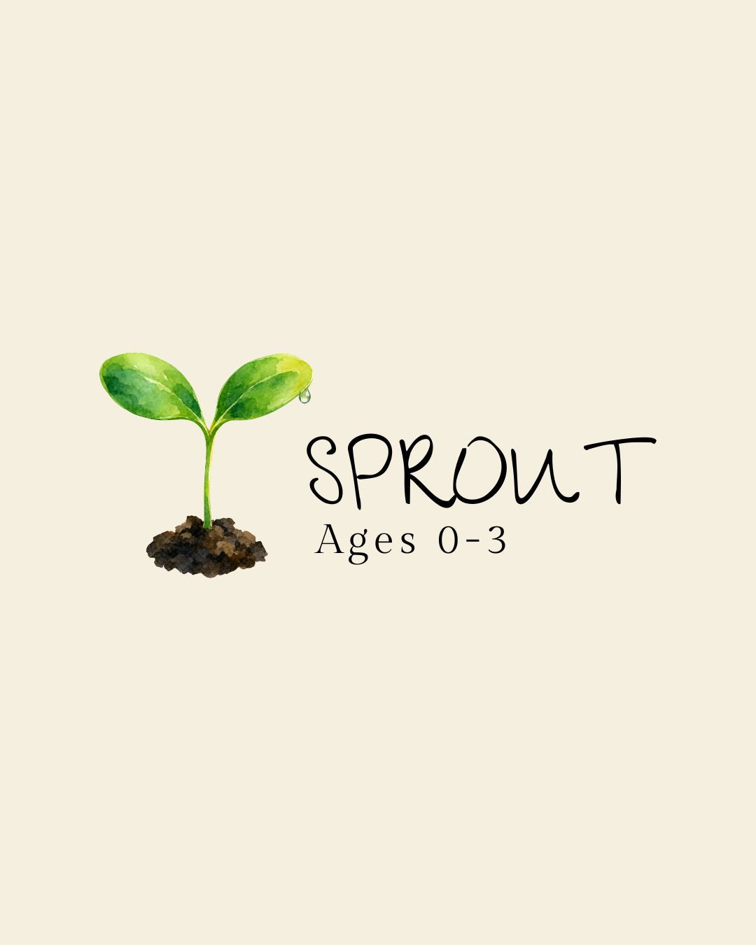 The Sprout Box