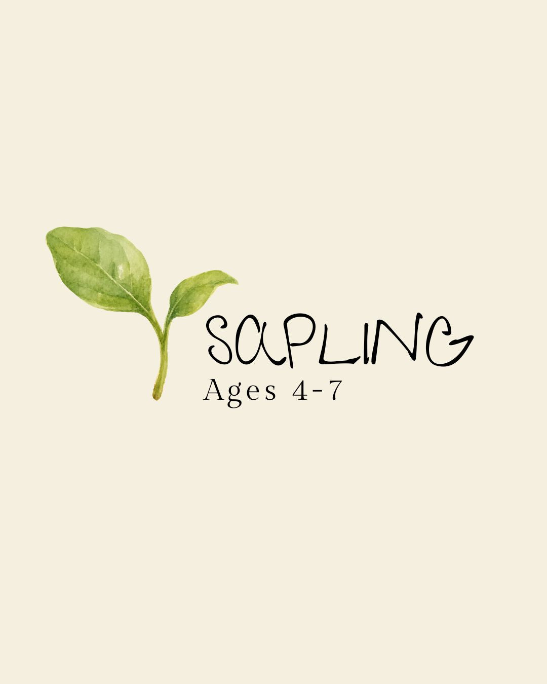 The Sapling Box