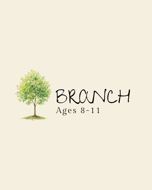 The Branch Box