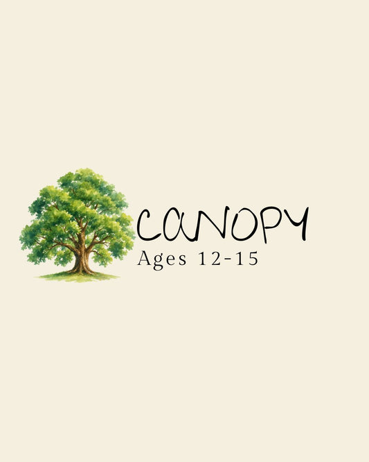 The Canopy Box